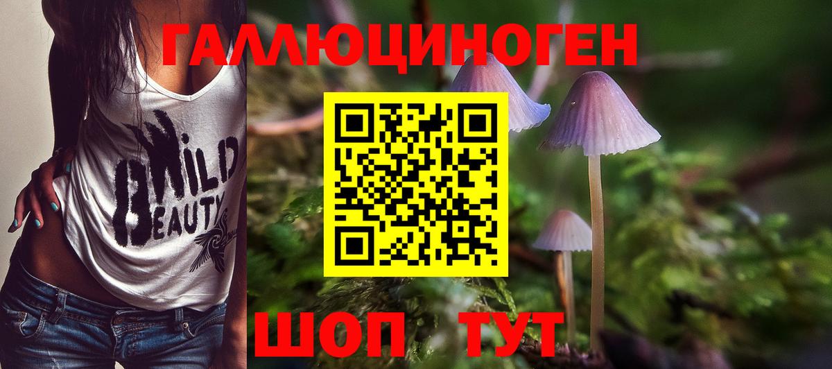 Кемерово  Псилоцибиновые грибы мицелий  Вход с VPN  Галлюциногенные грибы мицелий 